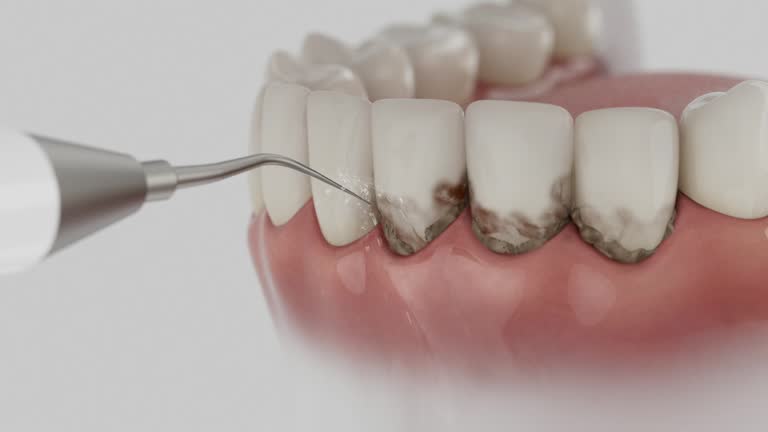 Reliable Dental contractor in Philipsburg, MT by Dentist Open Now